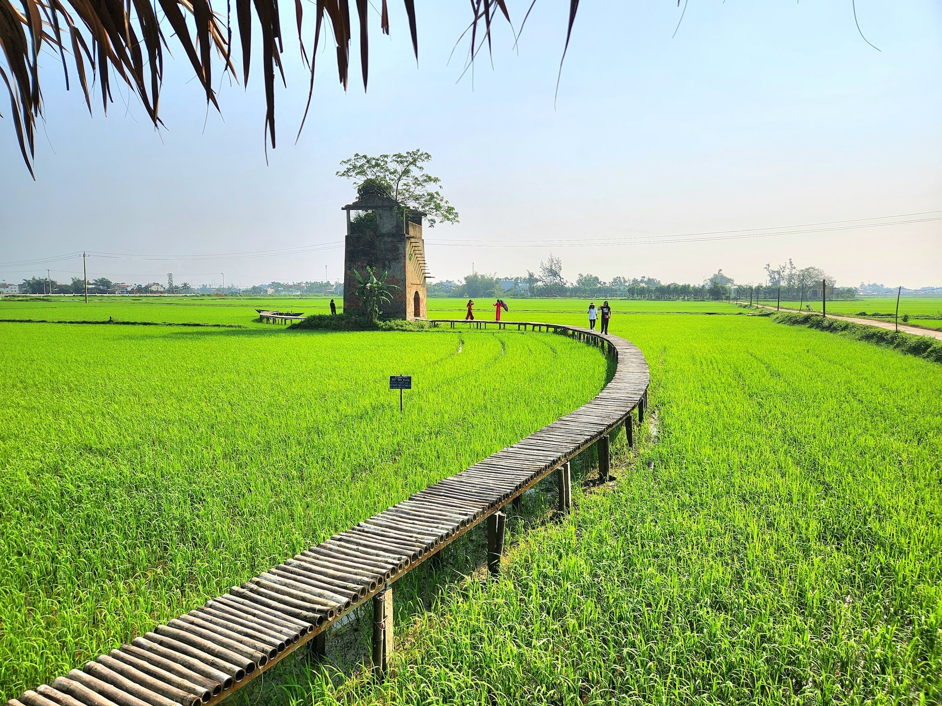 Điểm đến nông trại lò gạch cũ (Duy Xuyên). Ảnh: H.S