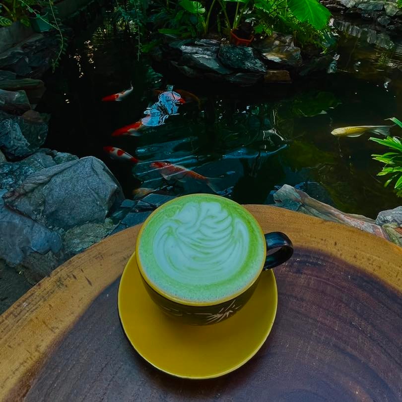 Bạn có thể chọn thưởng thức ly cà phê latte trà xanh được pha chế theo tỉ lệ hoàn hảo. Ảnh: H.L