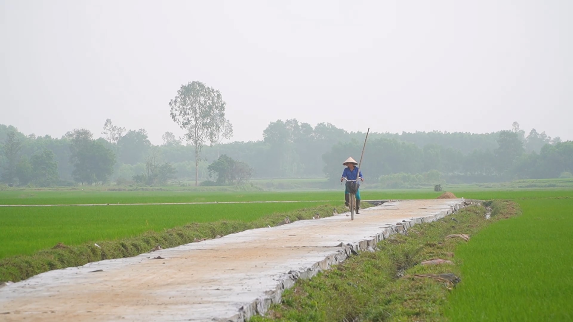 anh gt binhcanh1