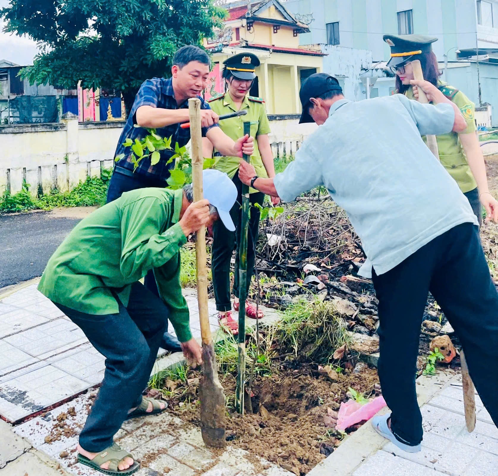 Thị trấn Nam Phước (huyện Duy Xuyên) cùng Hạt Kiểm lâm Trung Quảng Nam trồng sao đen. Ảnh: M.T