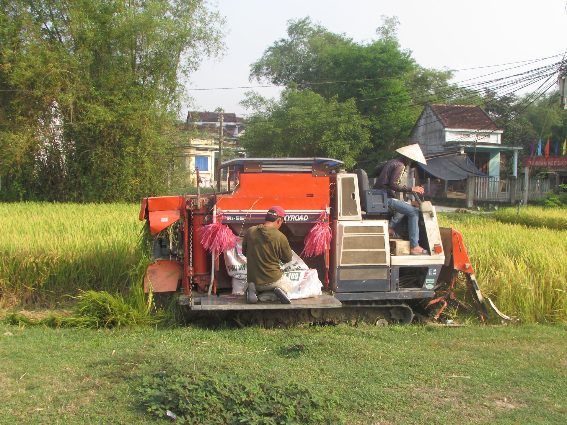 Thu hoạch lúa đạt năng suất khá. Ảnh Văn Phin JPG