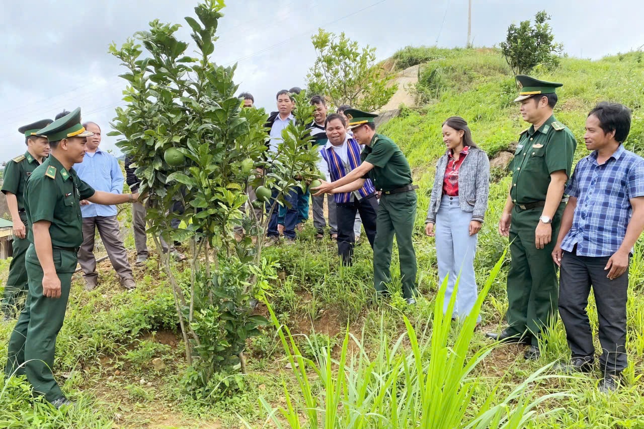 huong dan cay an trai