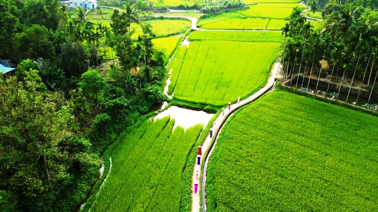 tải xuống