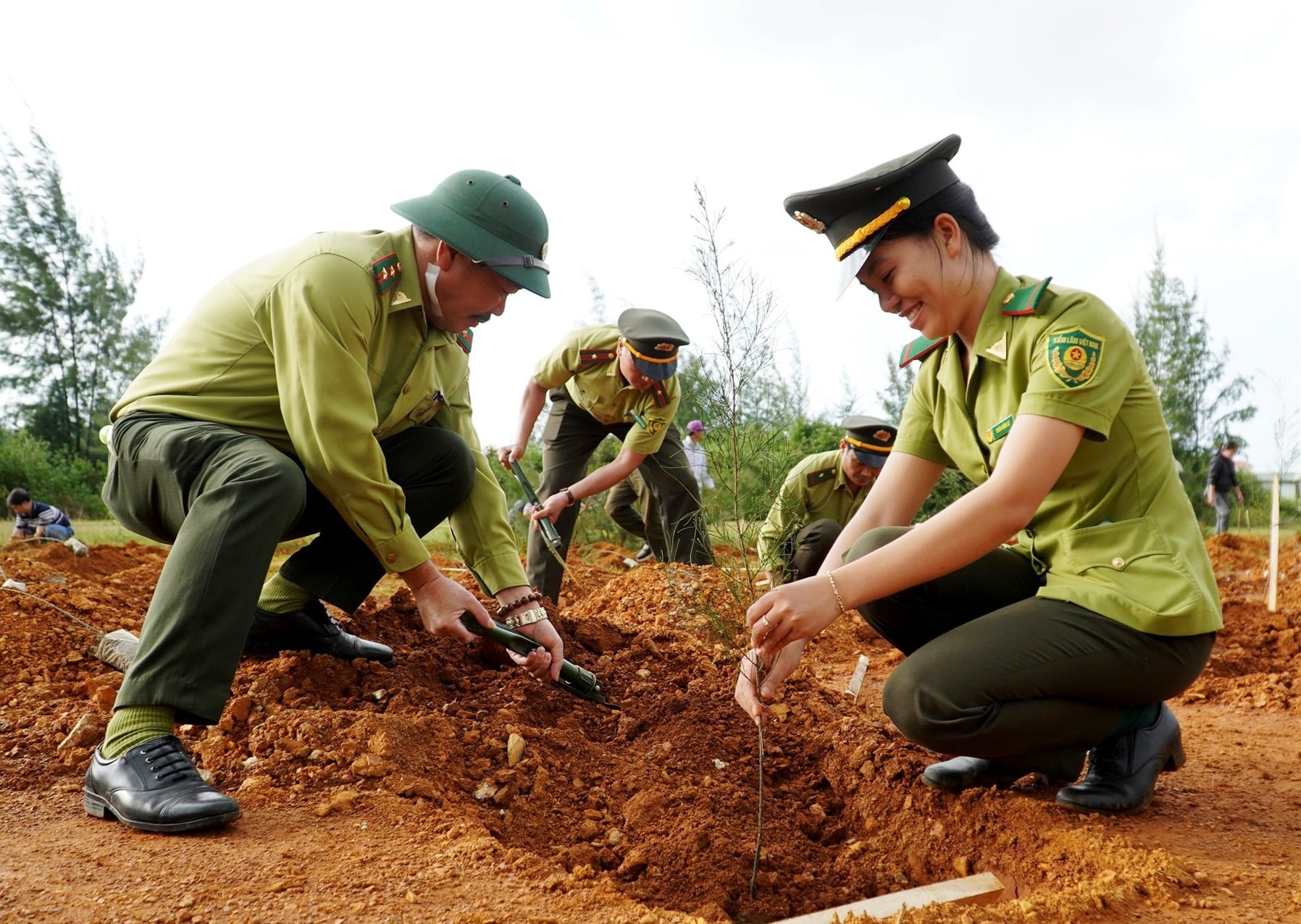 Quảng Nam phát động trồng cây