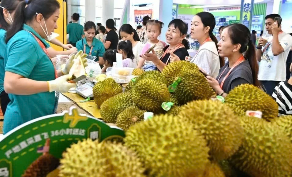 Hội chợ sầu riêng tại Trung Quốc với sự tham gia của các nhà xuất khẩu đến từ Đông Nam Á như Việt Nam, Thái Lan, Malaysia. Ảnh: Xinhua