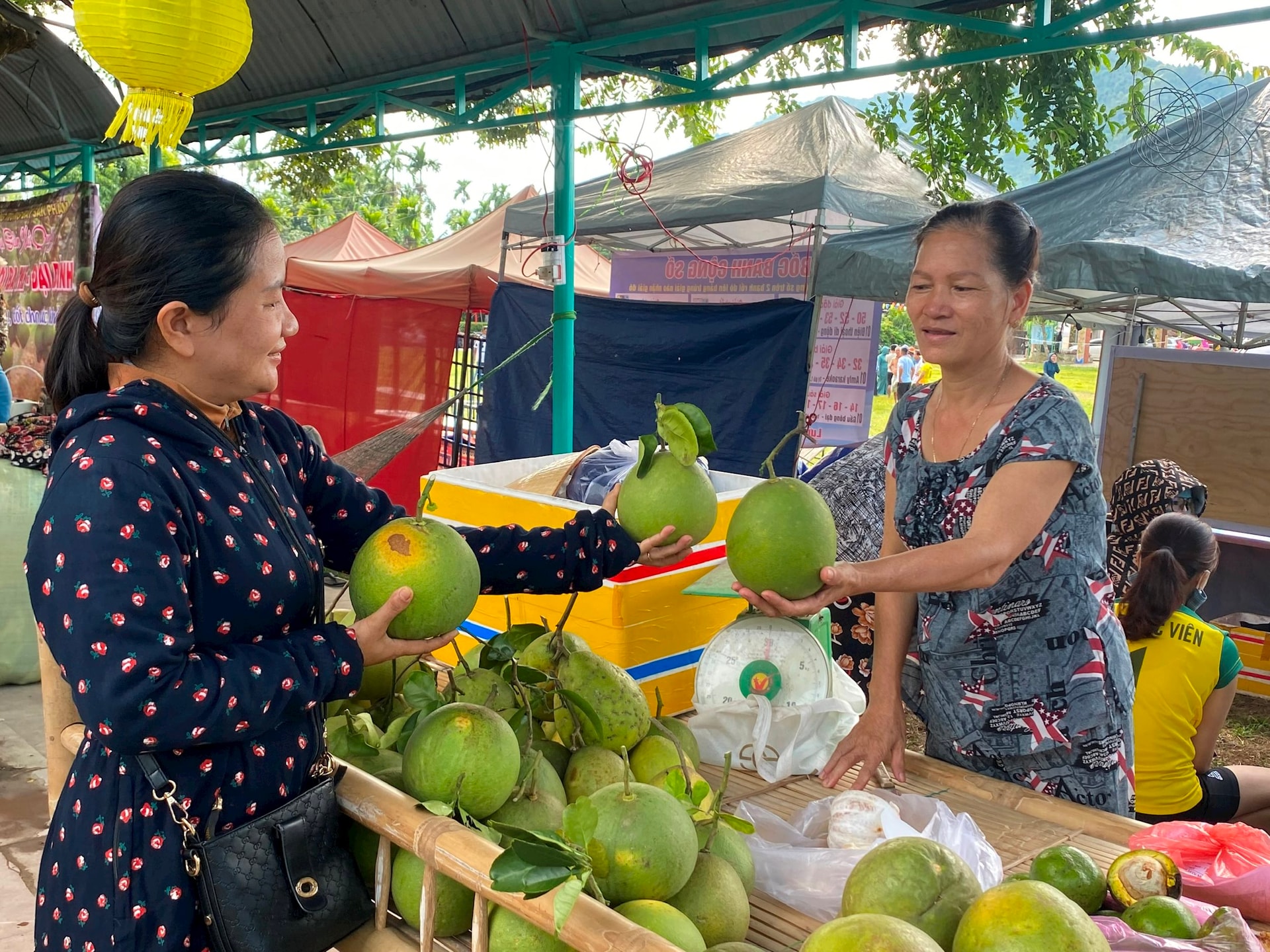 Hoạt động liên kết với doanh nghiệp làm đầu tàu đã giúp tiêu thụ sản phẩm hiệu quả - Ảnh: 