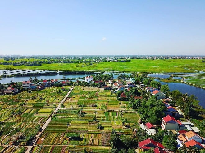 Tra Que's vegetable gardens evolved from scattered plots with self-dug ponds to neatly arranged fields with structured pathways for tourism development.