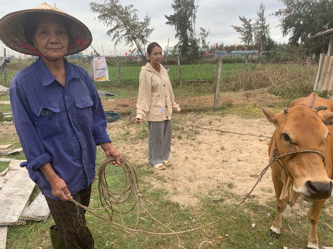 Hành trình chữa lành nỗi đau da cam - Bài 1: 