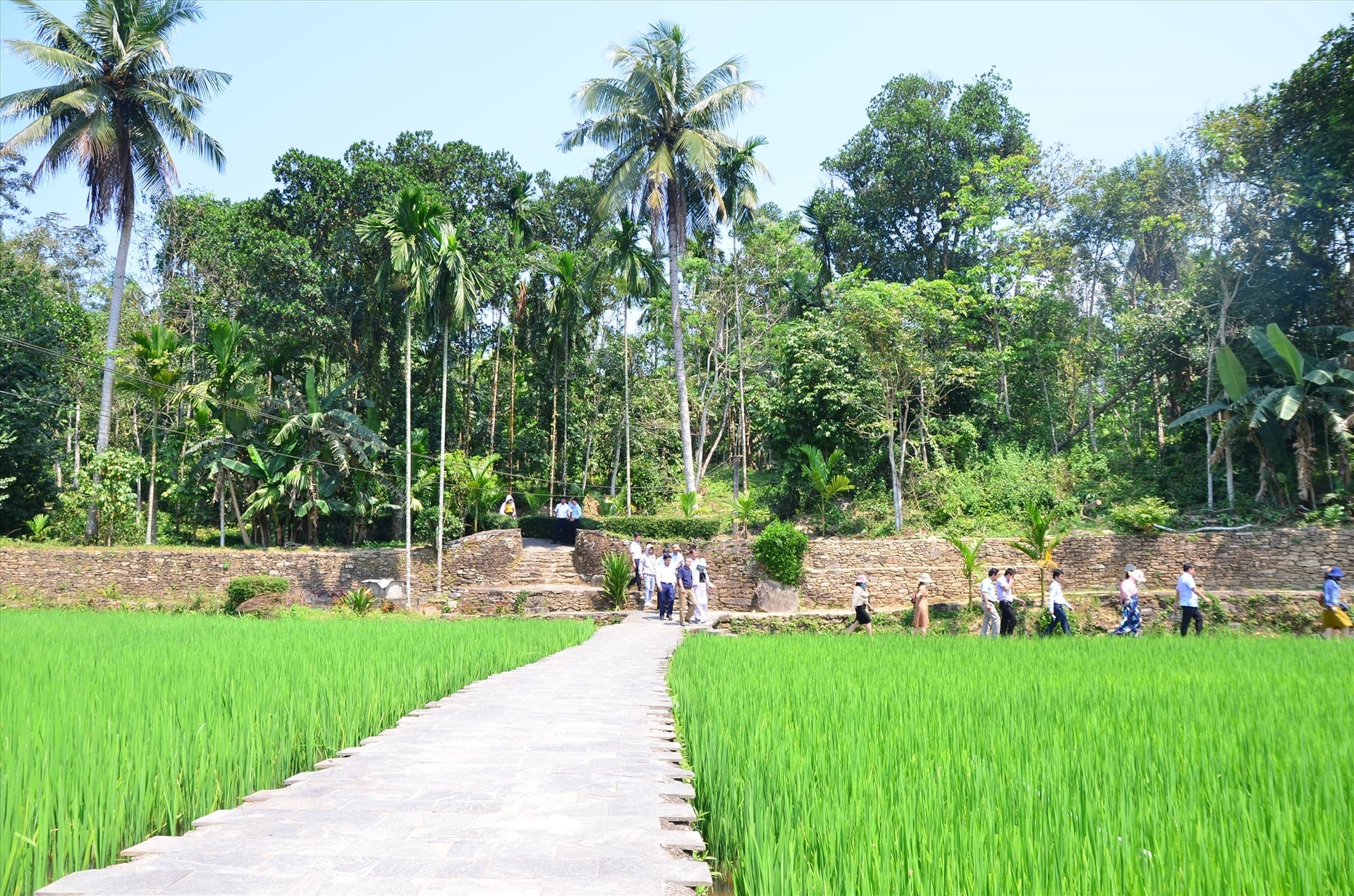 Nông thôn Tiên Phước hôm nay. Ảnh HOÀNG HƯNG