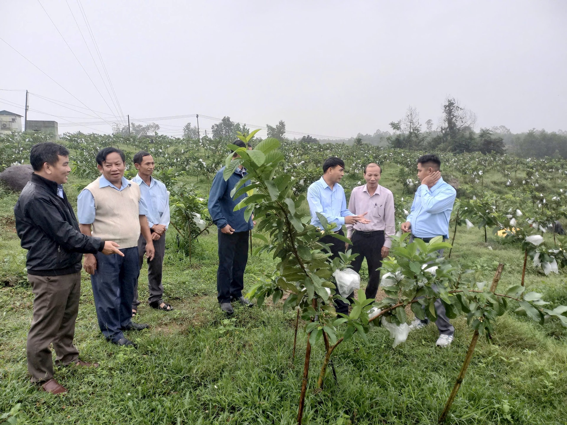 Mô hình trồng cây ăn quả tổng hợp kết hợp du lịch sinh thái, trải nghiệm được Trung tâm KTNN huyện Quế Sơn phối hợp triển khai tại thị trấn Đông Phú. Ảnh: DUY THÁI