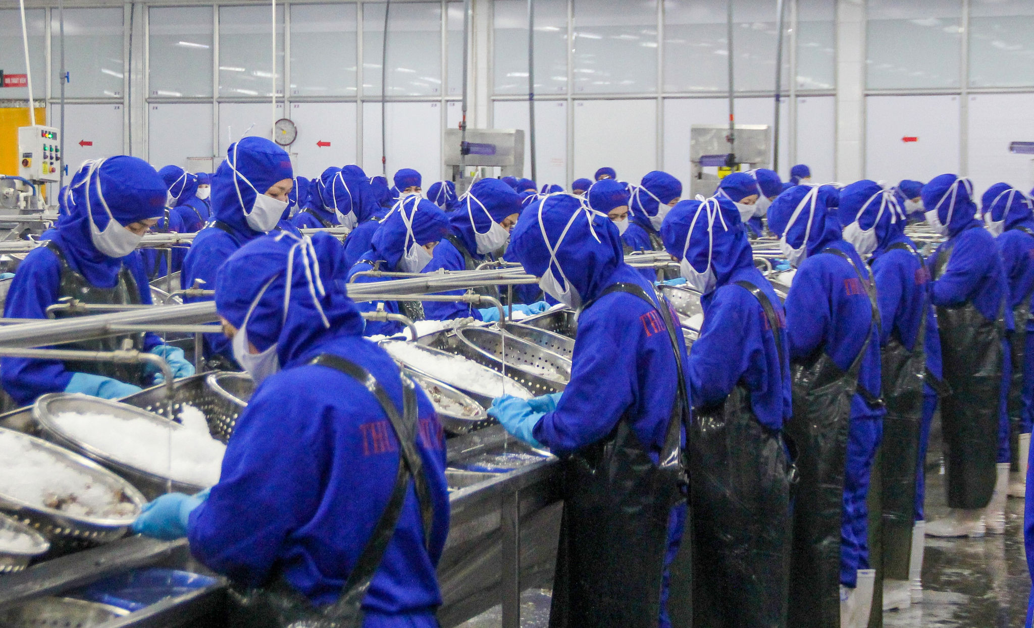 Đẩy mạnh kết nối ngân hàng - doanh nghiệp để thúc đẩy tín dụng tăng trưởng. TRONG ẢNH: Sản xuất tại Công ty CP Thủy sản và Thương mại Thuận Phước.