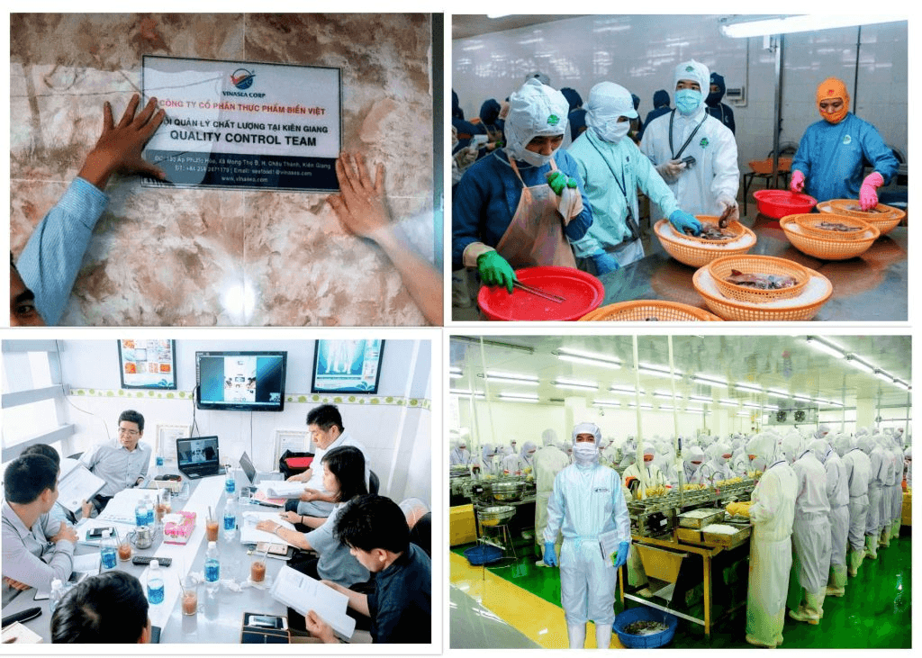 Nỗ lực vượt qua thử thách và thành công đạt được của Vinasea Corp.