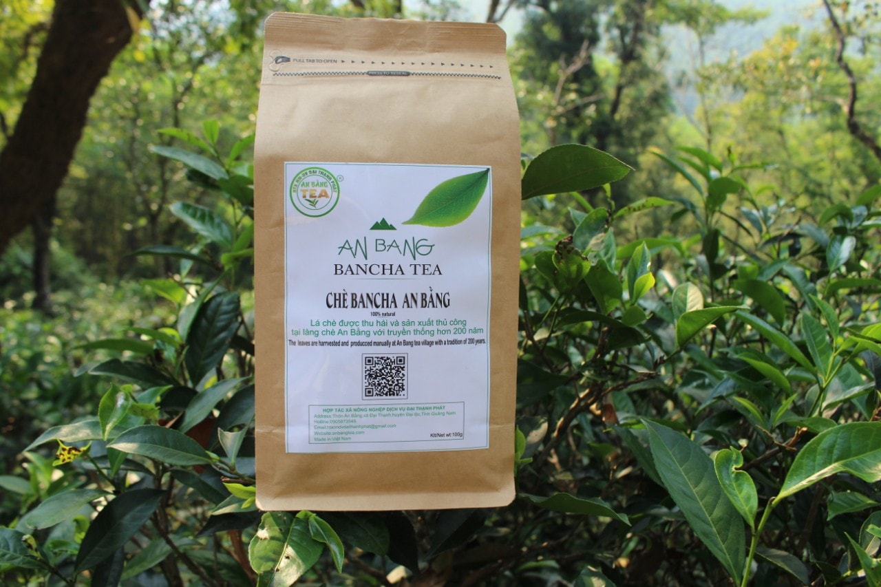 Sản phẩm chè khô An Bằng của HTX Nông nghiệp dịch vụ Đại Thạnh Phát. Ảnh: TRIÊU NHAN