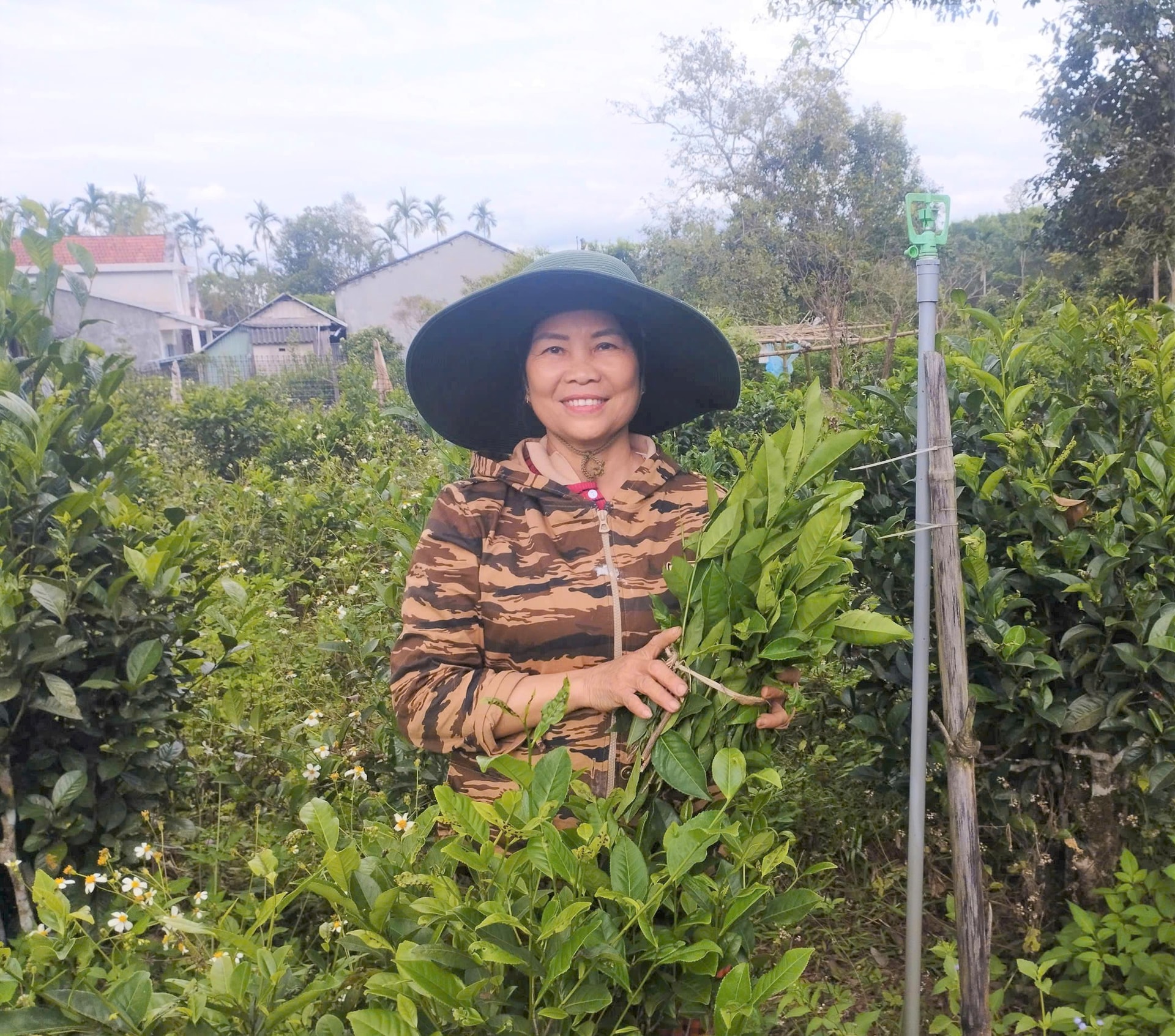 Một số hộ trồng chè đã được hỗ trợ kinh phí đóng giếng, đầu tư hệ thống tưới cho cây chè từ cơ chế 135 của HĐND tỉnh. Ảnh: THÙY LIÊN