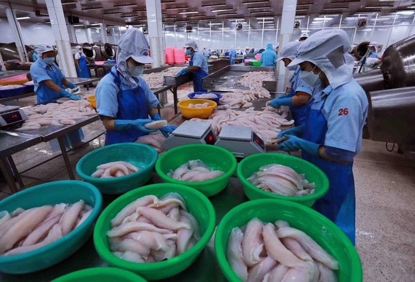 Chế biến thủy sản xuất khẩu. (Ảnh: Đức Duy/Vietnam+)