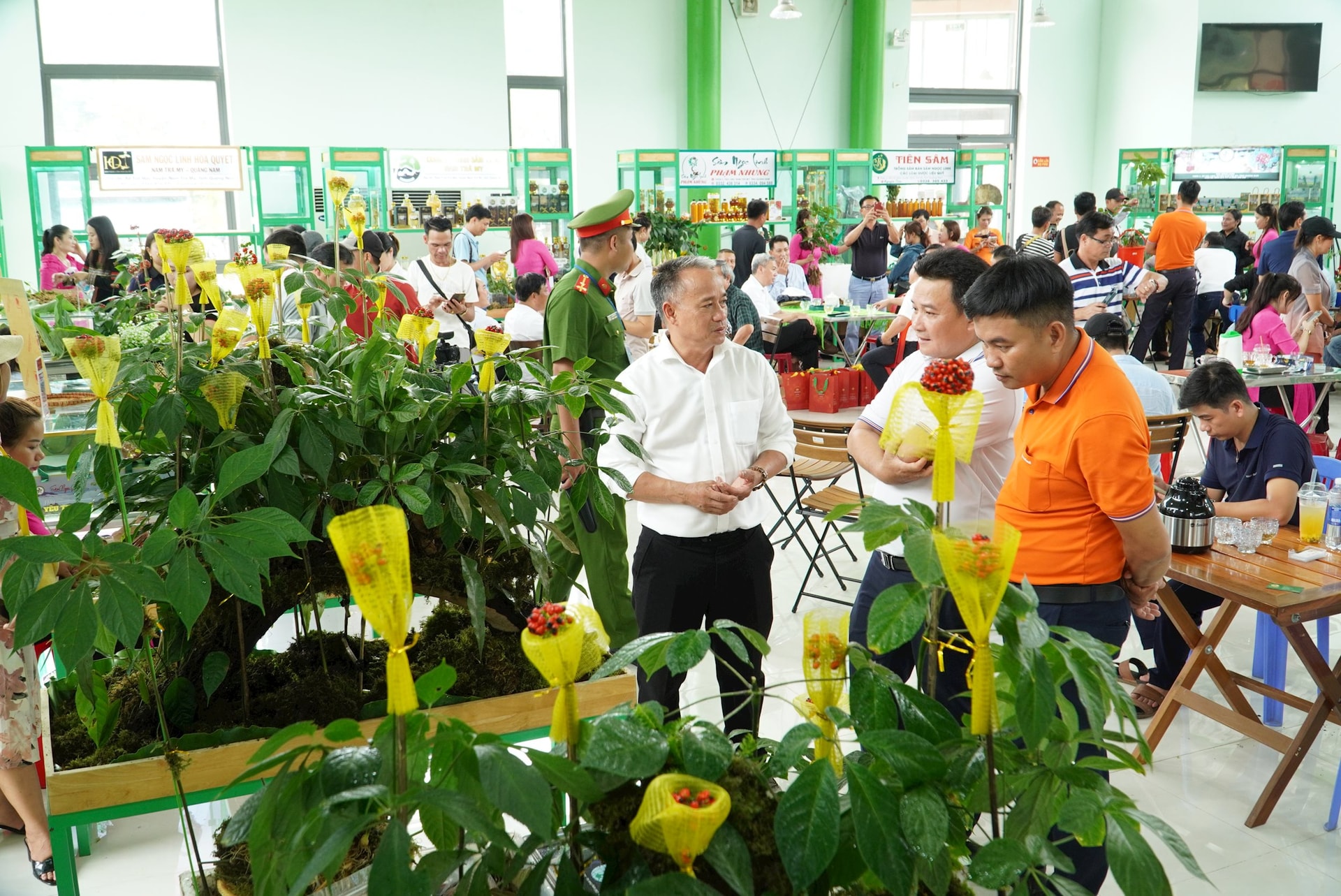 SAM NGOC LINH 8
