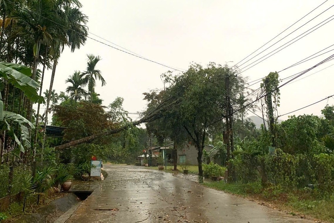 cay-nga-do-vao-duong-day-dien-luoi-tai-xa-tra-dong.jpg