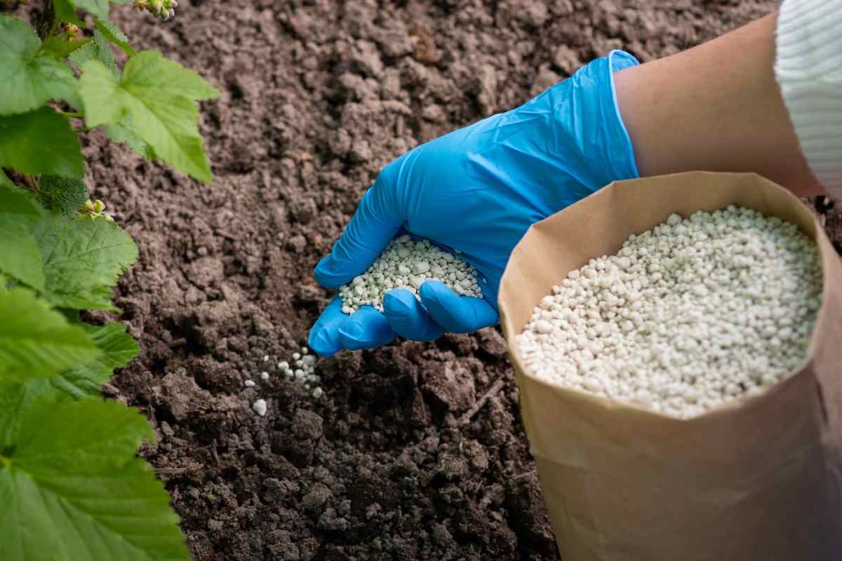Giá phân bón hôm nay 8/5: Duy trì ổn định