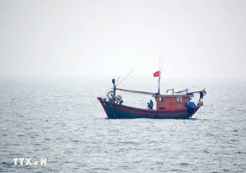 Tàu cá Việt Nam hoạt động trên vùng biển phía Bắc Vịnh Bắc Bộ. (Ảnh: TTXVN phát)