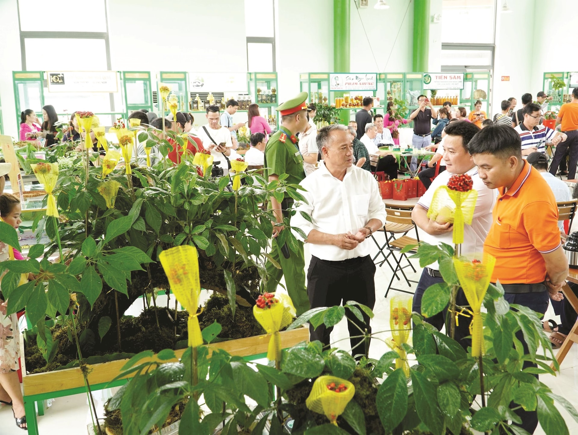 sam-ngoc-linh-8.jpg