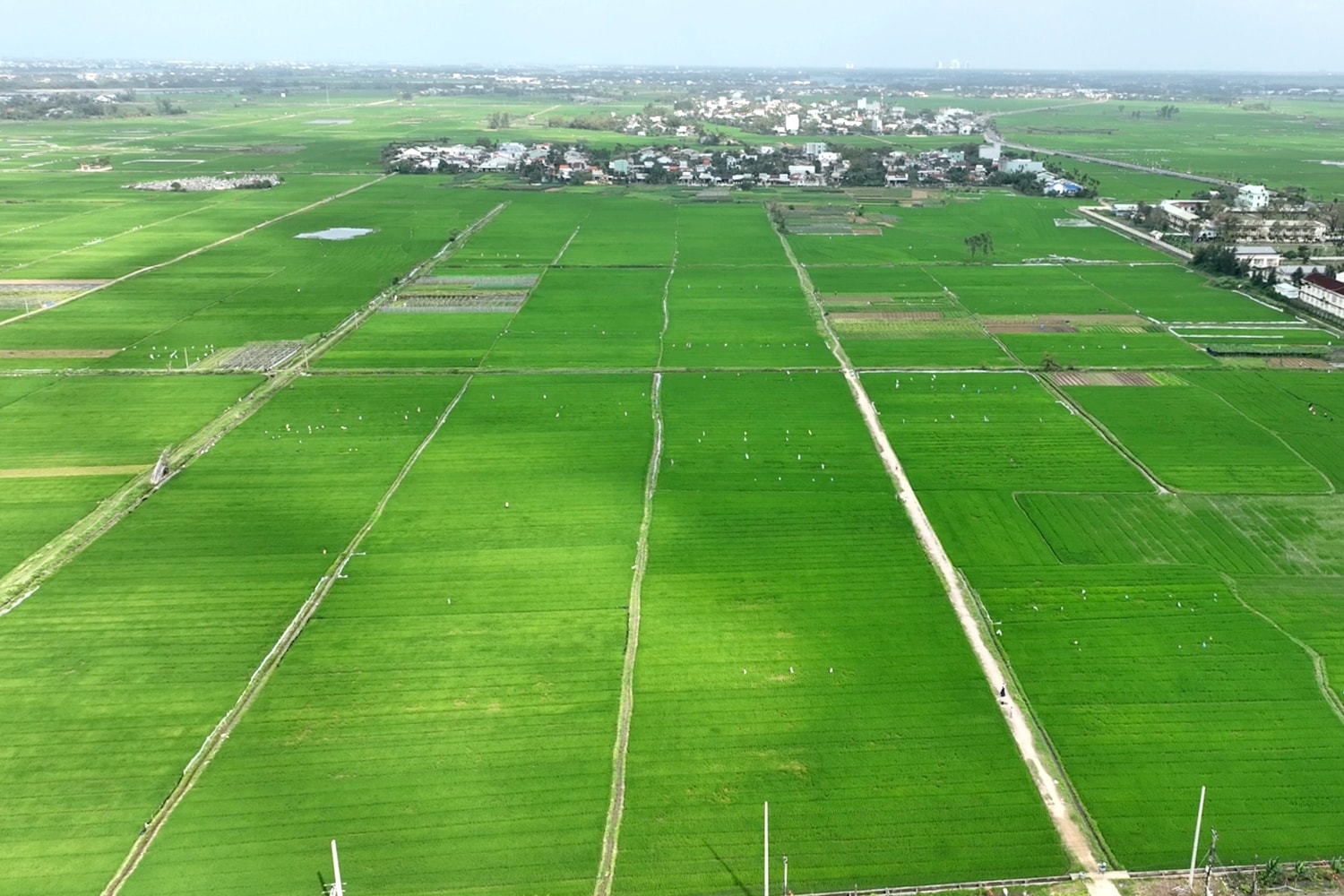 lien ket san xuat Duy Xuyen 4