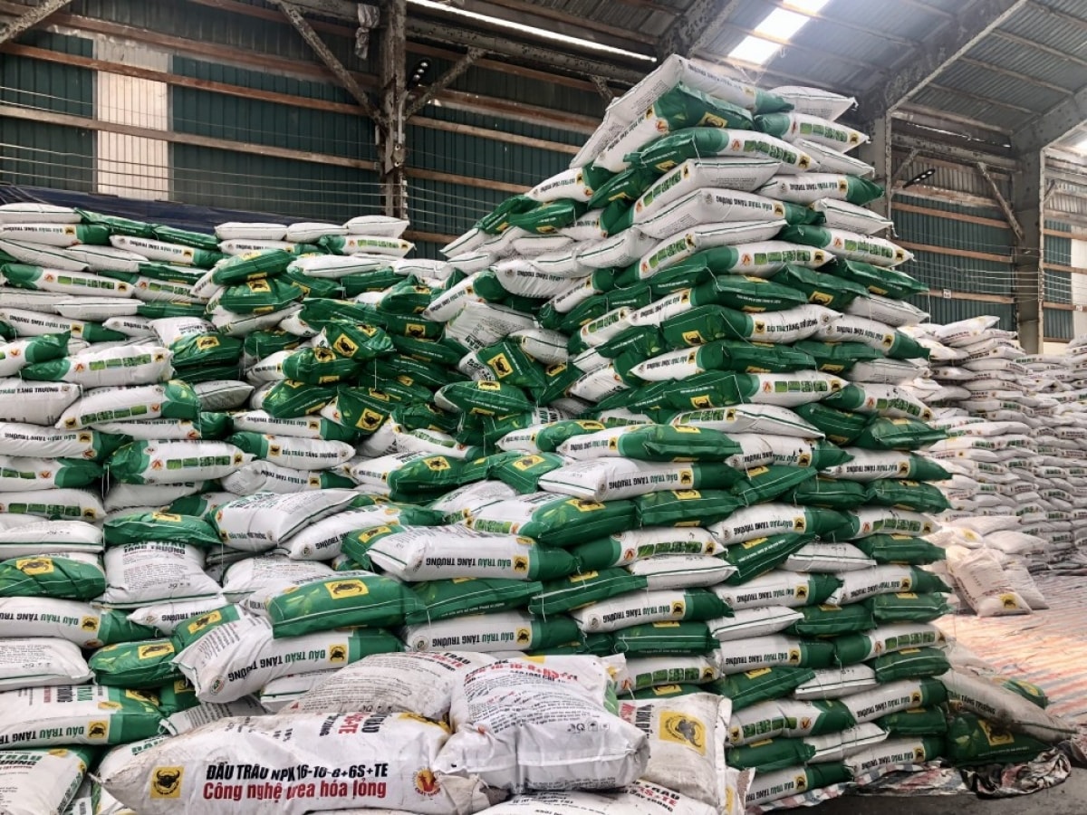 Giá phân bón hôm nay 13/5/2025: Đồng loạt ổn định