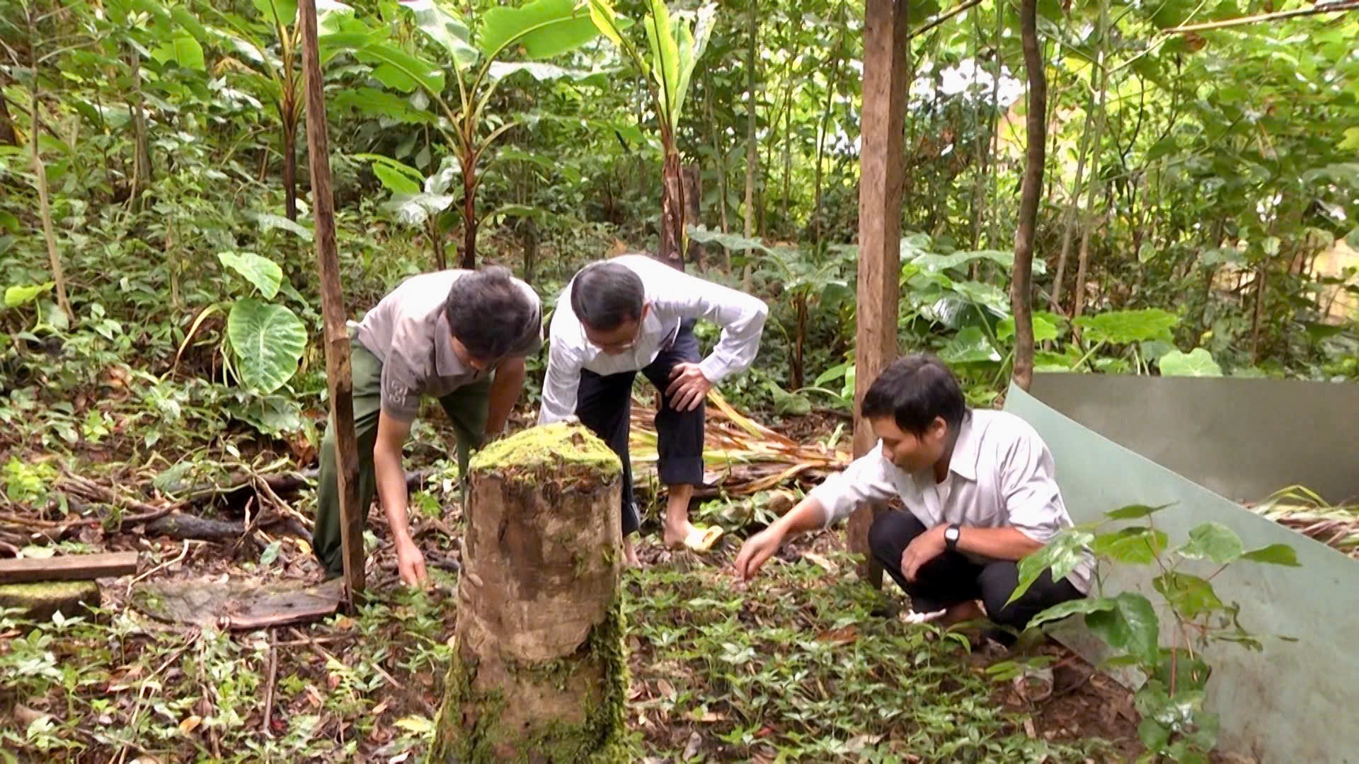 chi bộ 4 tốt