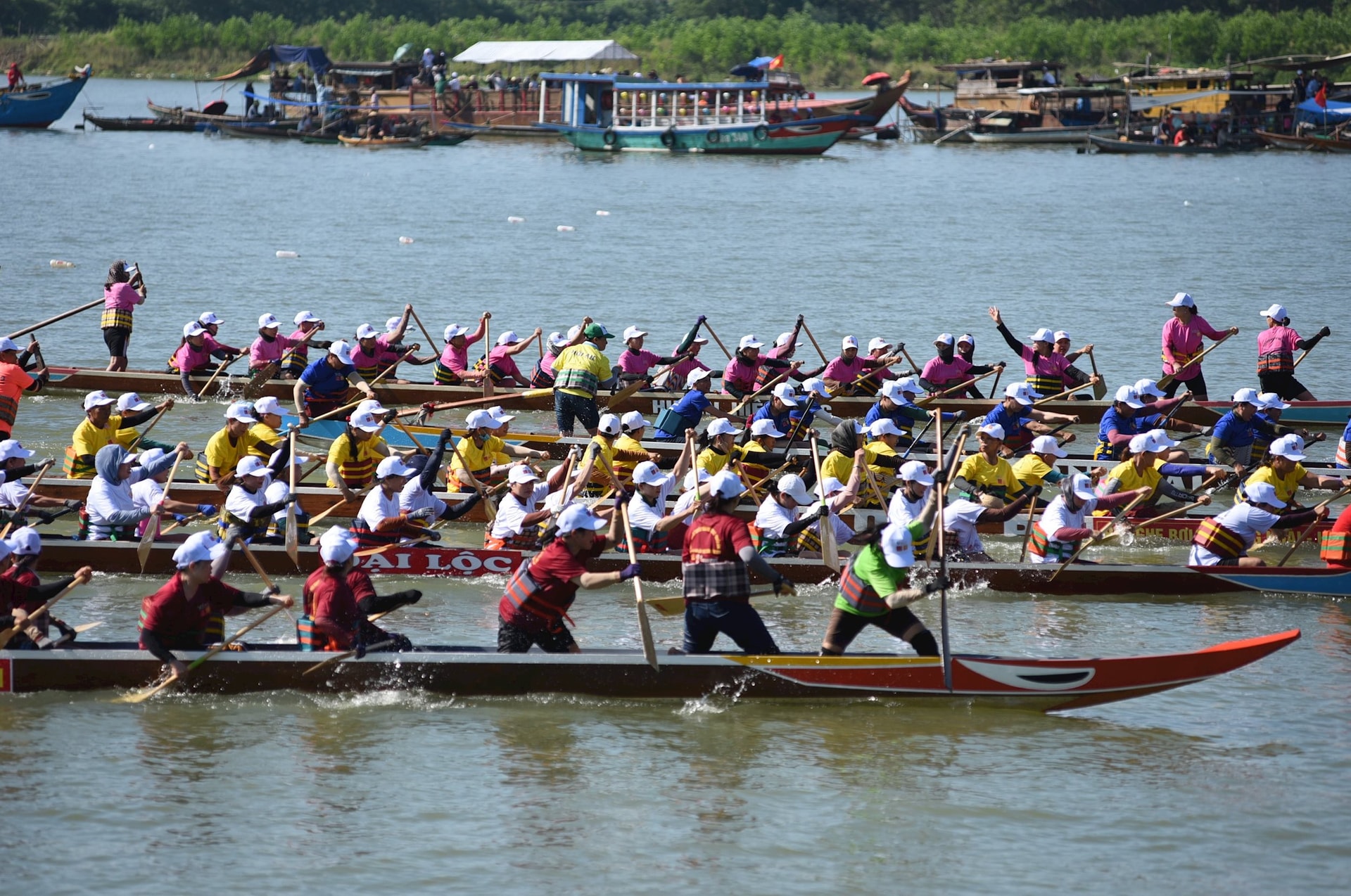 dsc_4417.jpg