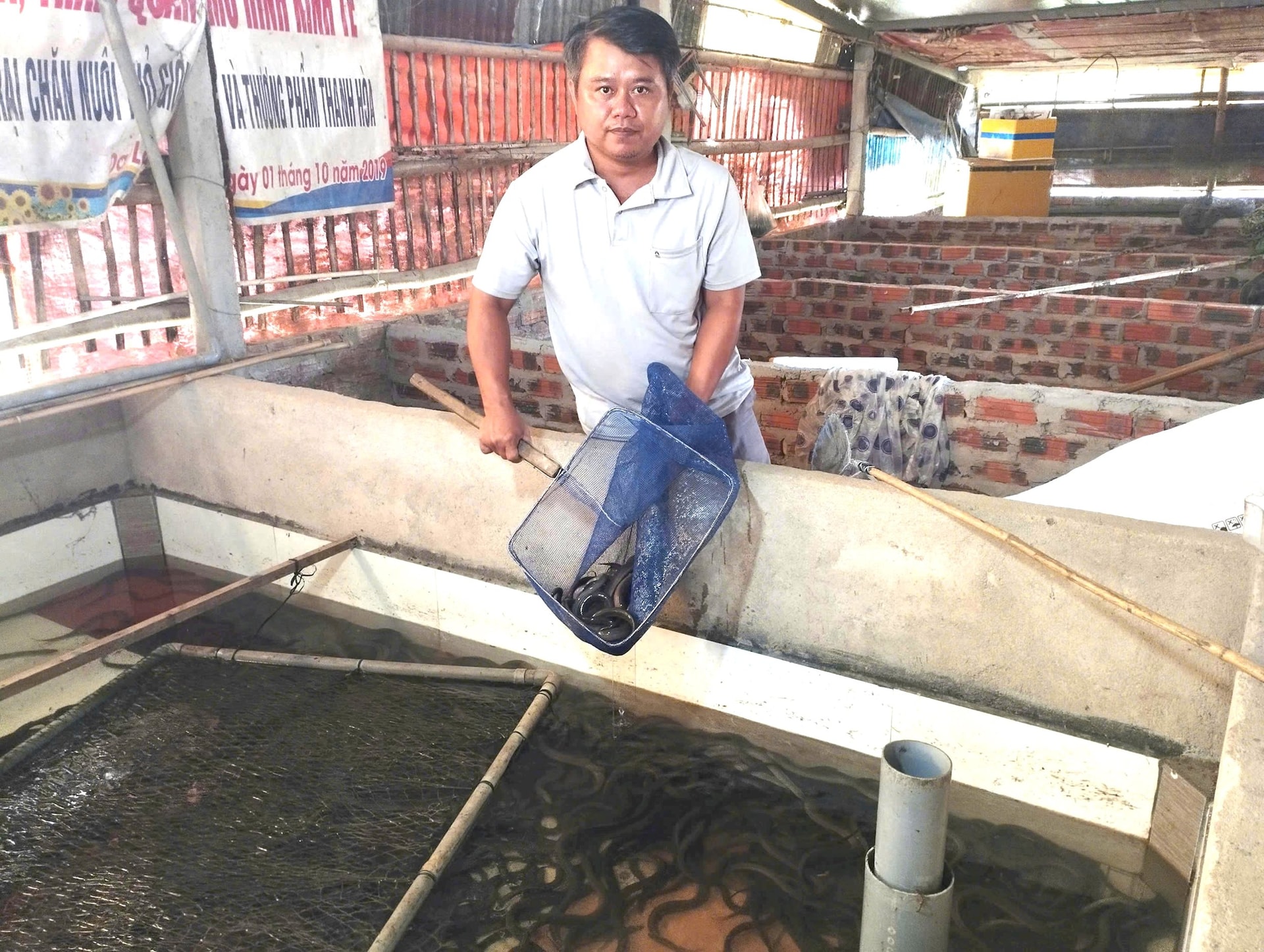 luon giong 3