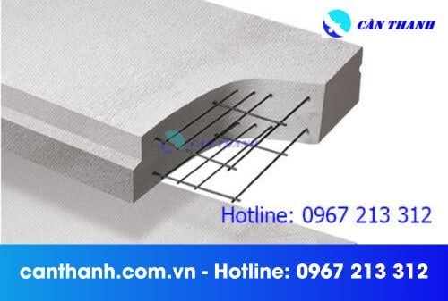441-202505191231091.jpg