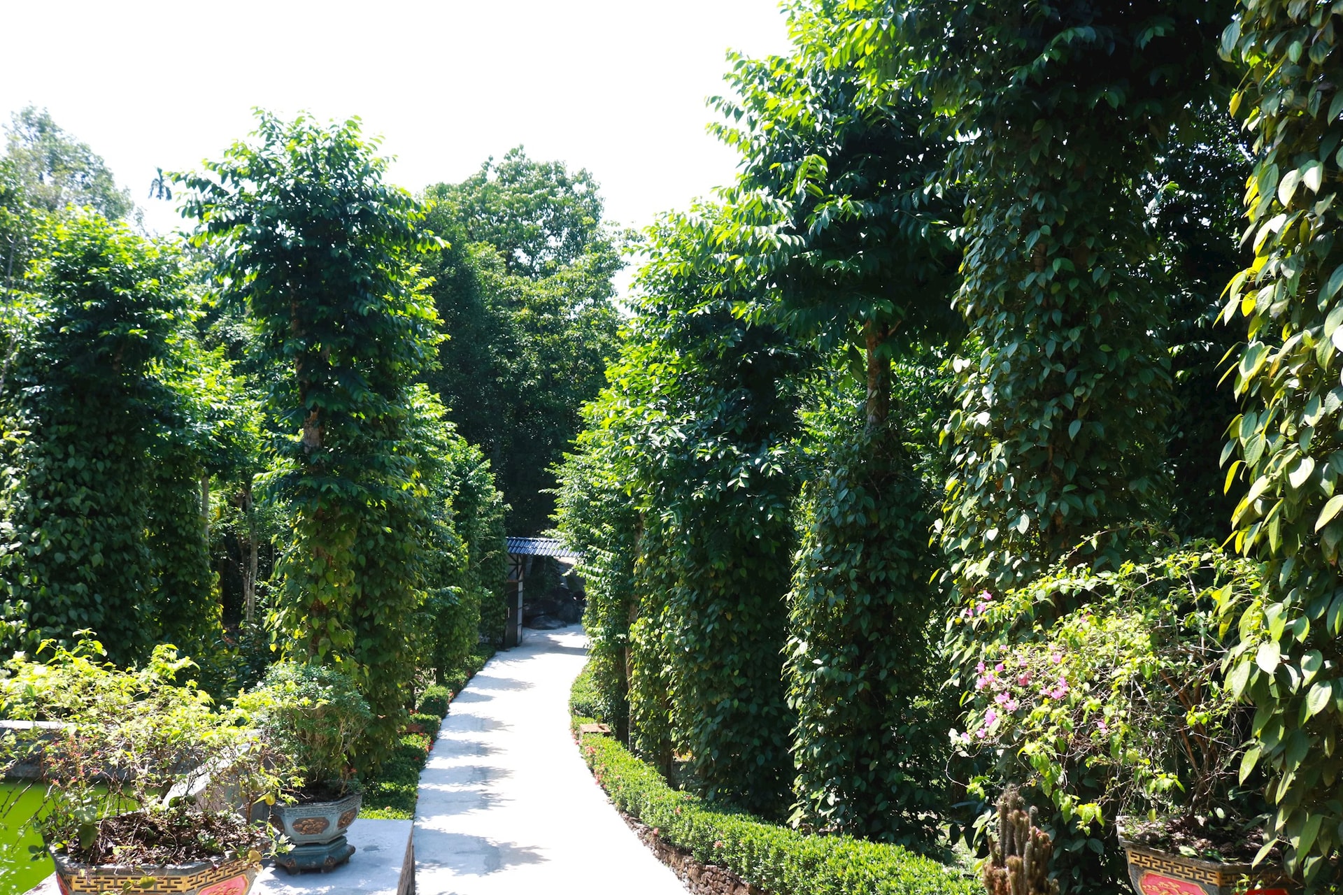beautiful_garden.jpg
