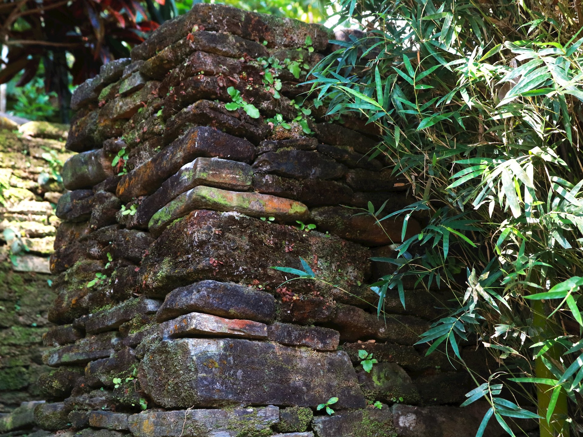 beautiful_wall.jpg