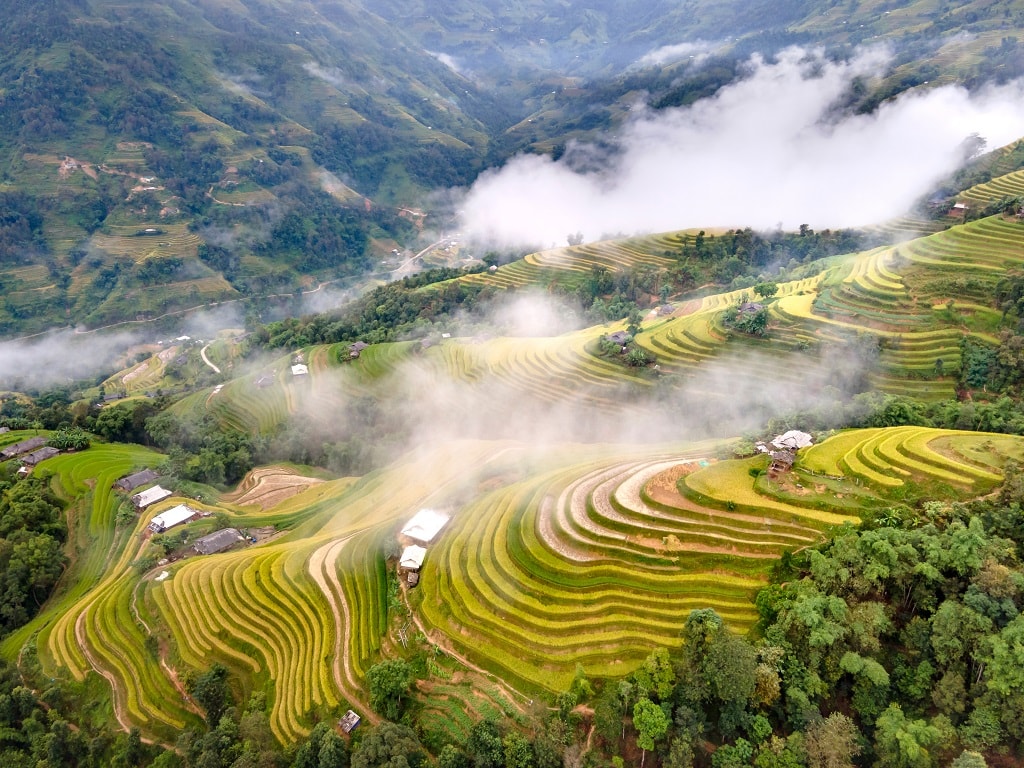 ស្នាដៃរបស់ Hoang Su Phi វាលរាបស្មើនៅខាងជើងបំផុតនៃមាតុភូមិ