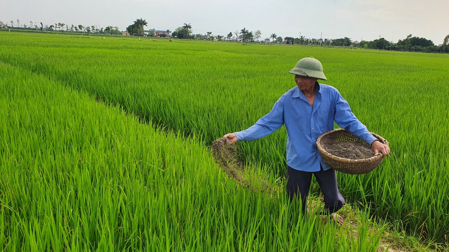 Giá phân bón ngày 22/5: Giao dịch trầm lắng