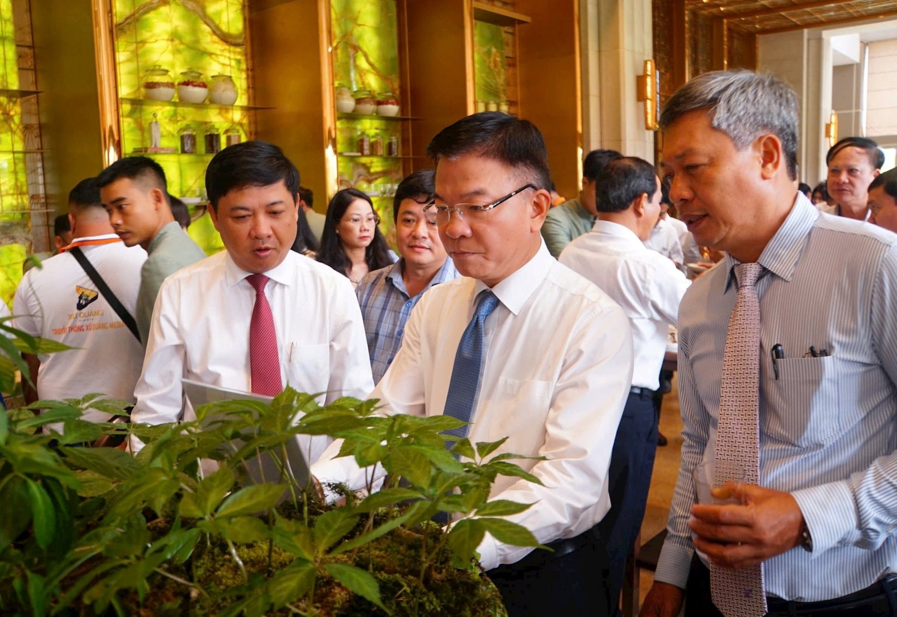 ឧបនាយករដ្ឋមន្ត្រី Le Thanh Long អញ្ជើញទៅទស្សនាមជ្ឈមណ្ឌលផលិតយិនស៊ិន Ngoc Linh និងឱសថរុក្ខជាតិក្នុងសន្និសីទ..jpg