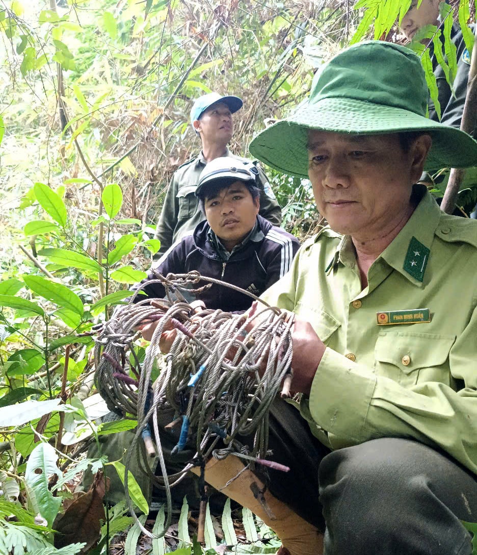 DONG VAT HOANG DA 1