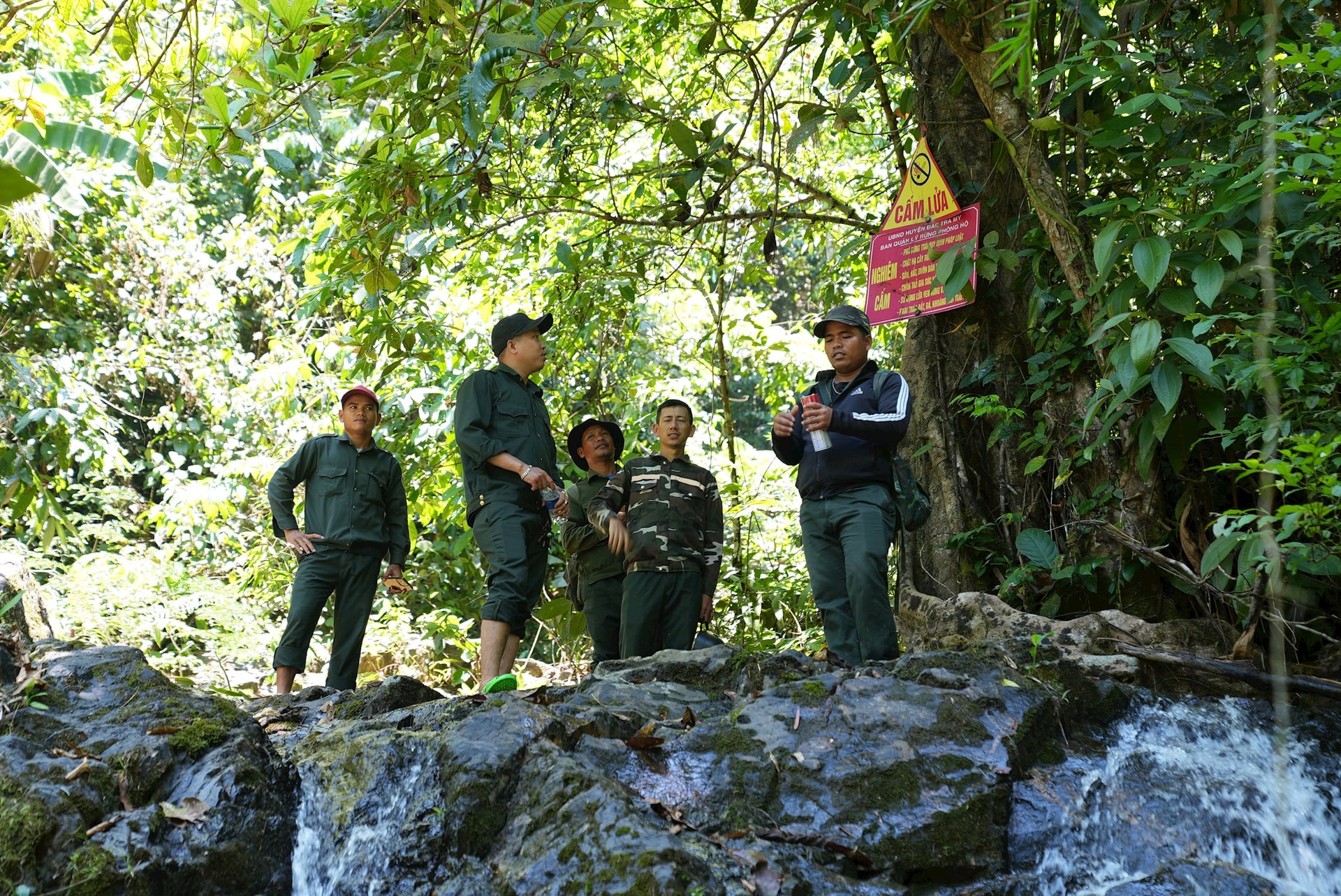 DONG VAT HOANG DA 2