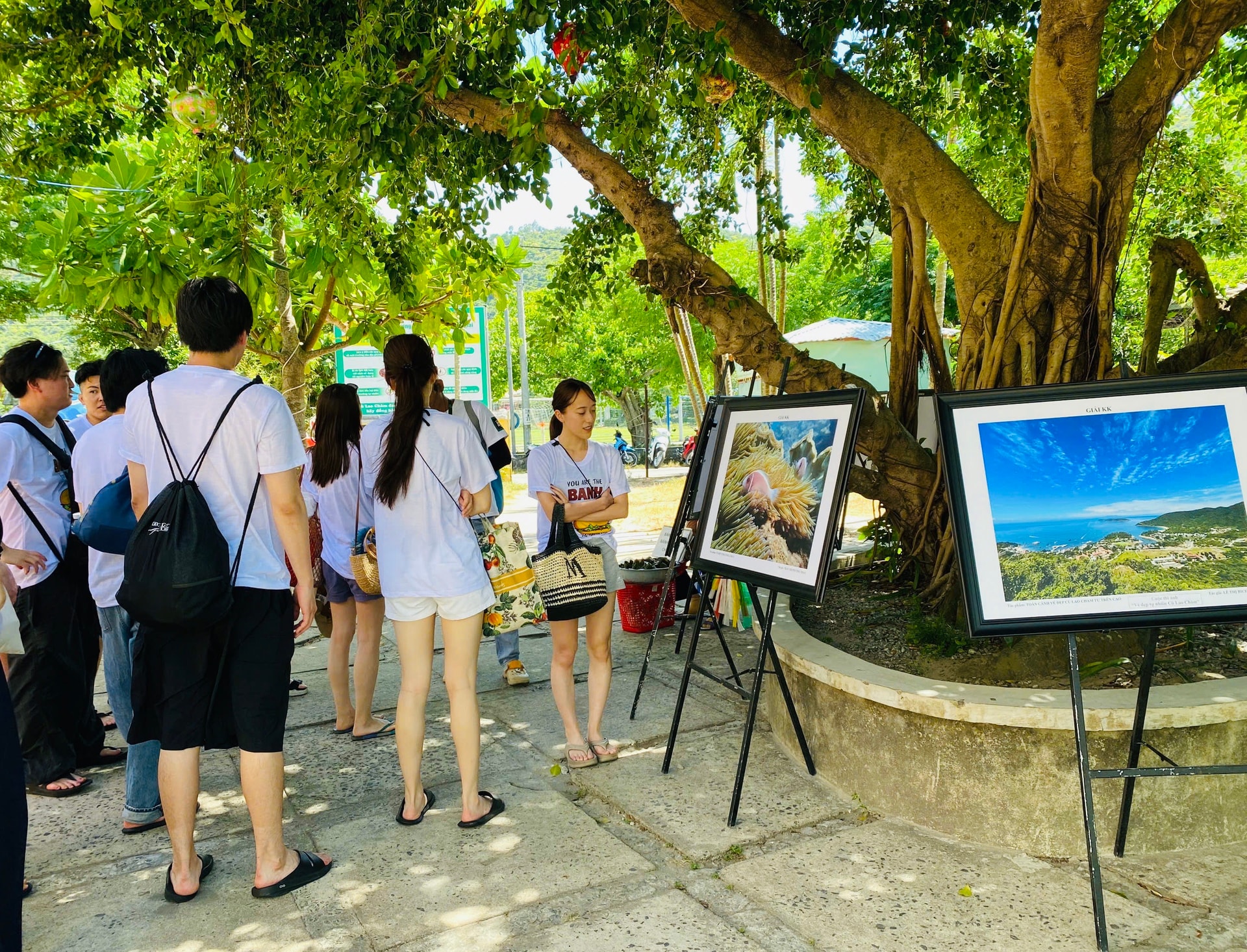triển lãm