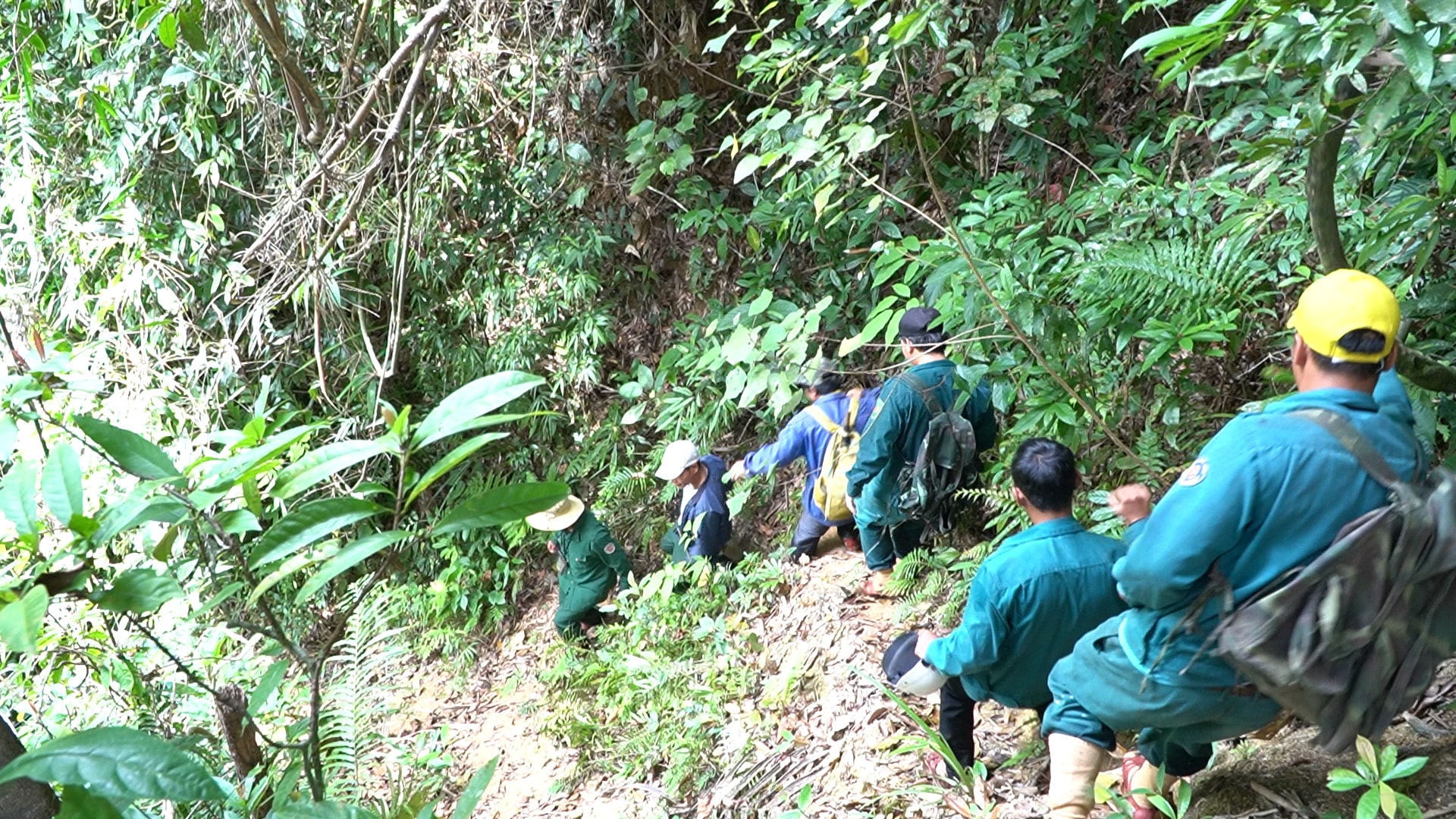 DONG GIANG TUAN TRA BV R