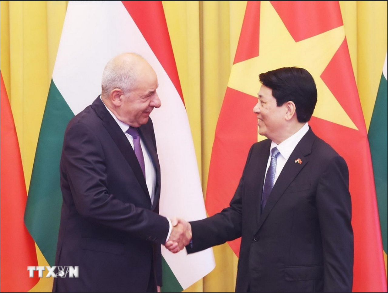 Chủ tịch nước Lương Cường và Tổng thống Hungary Sulyok Tamas chụp ảnh chung trước hội đàm. (Ảnh Lâm Khánh/TTXVN)