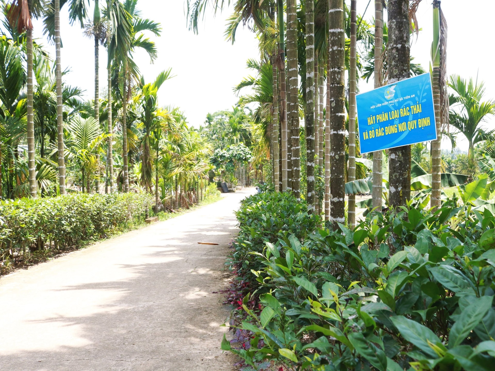 bqn.1cdn.vn-2025-05-20-_115_duong_dep.jpg