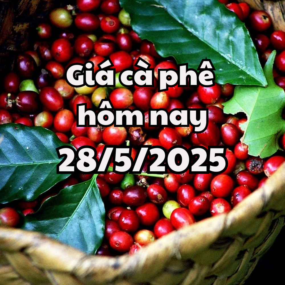 តម្លៃកាហ្វេថ្ងៃនេះ 05/28/2025 សញ្ញាសុទិដ្ឋិនិយមសម្រាប់ទីផ្សារកាហ្វេ