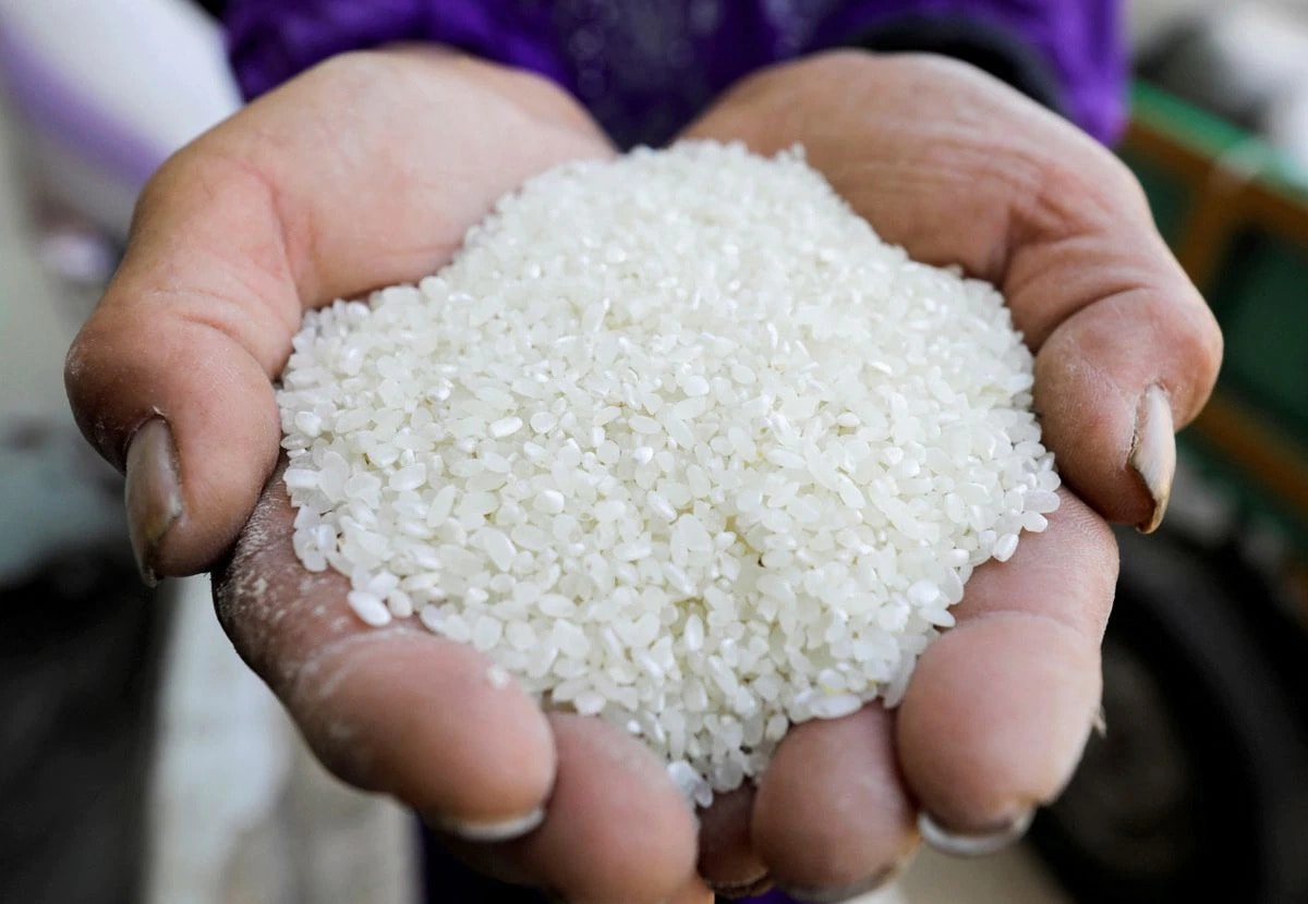 Giá lúa gạo hôm nay 28/5/2025: Ổn định, xuất khẩu gạo Thái Lan giảm mạnh