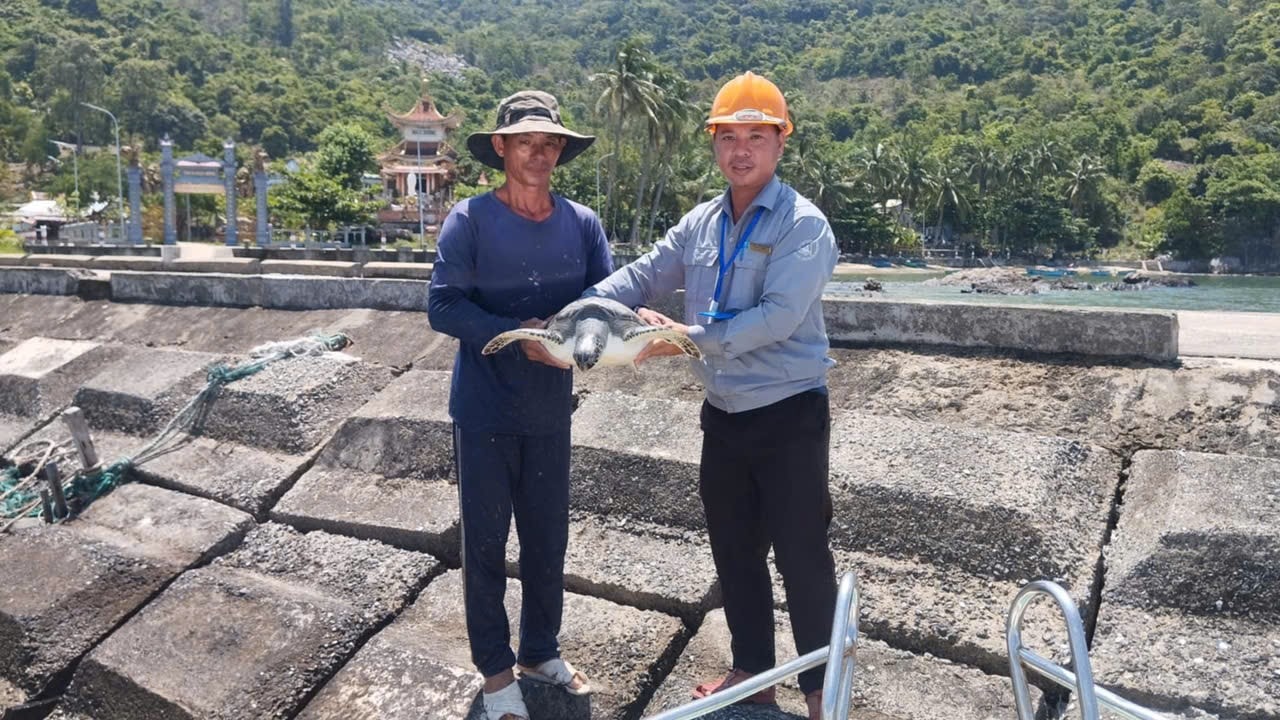 Ngư dân địa phương bàn giao cá thể rùa bị mắc lưới cho cơ quan chức năng. Ảnh: THÙY HƯƠNG