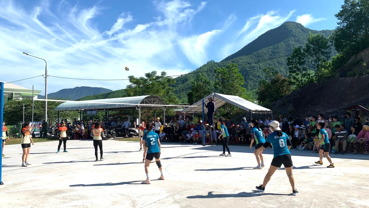 NP Volleyball