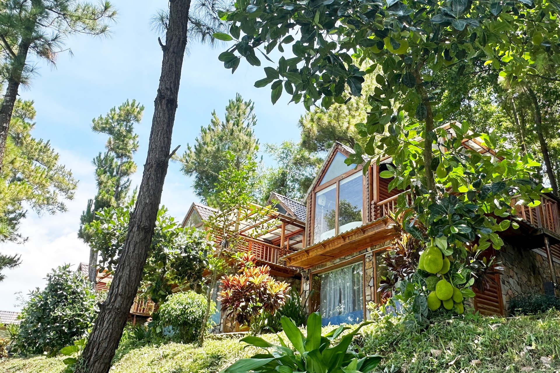 Các căn villa lưu trú có tầm nhìn thoáng đãng, hòa hợp với thiên nhiên