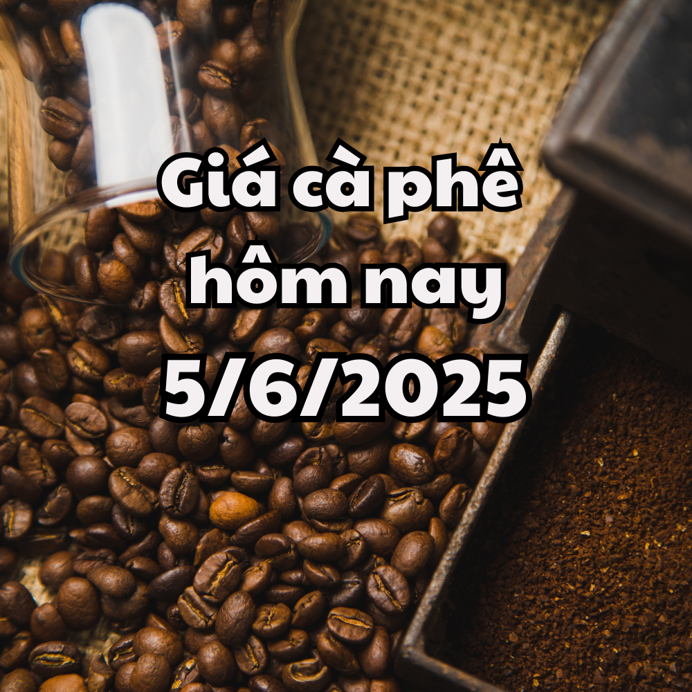 Giá cà phê hôm nay 5 6 2025 thị trường giảm xuống đáy mới