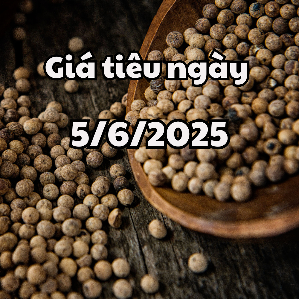 Tin tức, dự báo giá tiêu ngày mai 5 6 2025 chững lại ở trong nước