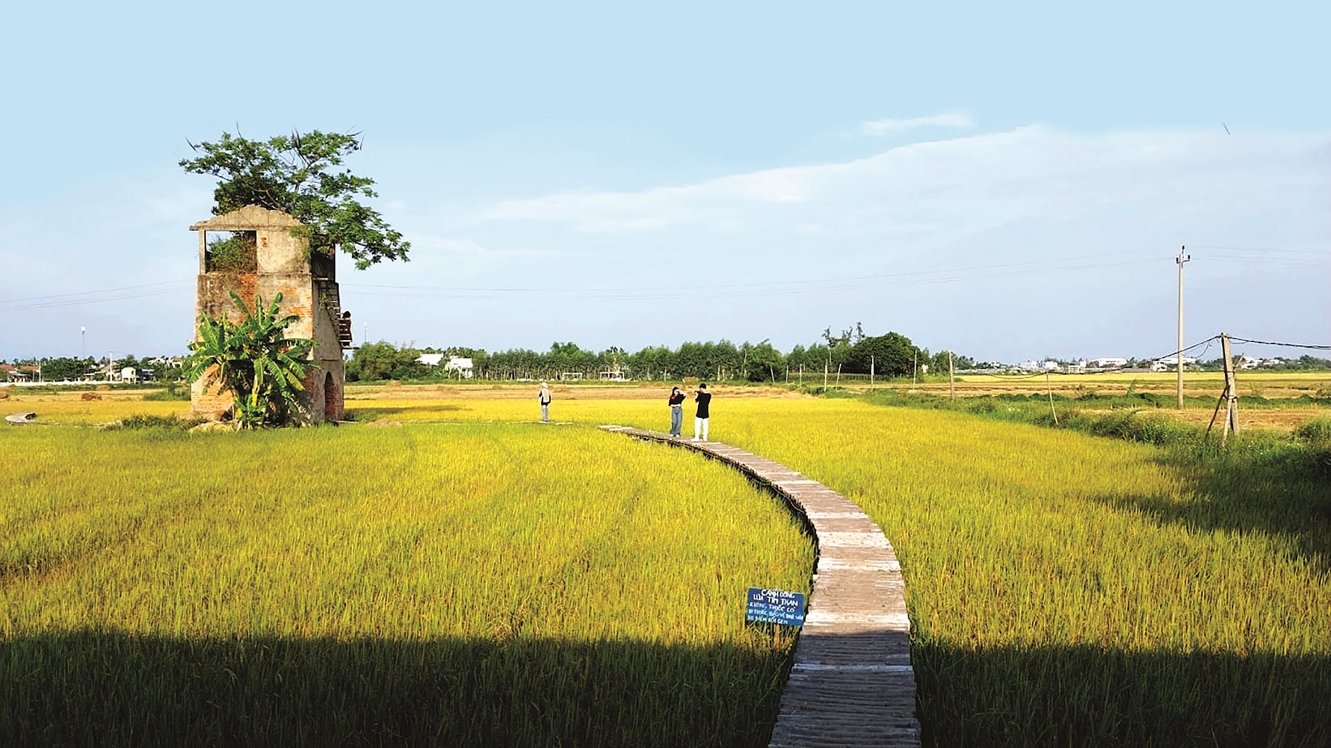 quang-nam-3.jpg
