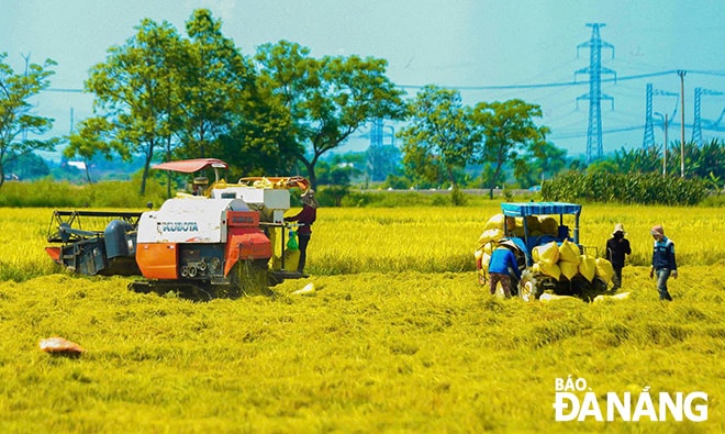 Hợp tác xã Dịch vụ sản xuất và Kinh doanh tổng hợp Hòa Tiến 1 tích cực đầu tư đồng bộ máy móc để thành viên thuận lợi trong sản xuất nông nghiệp. Ảnh: TRẦN TRÚC